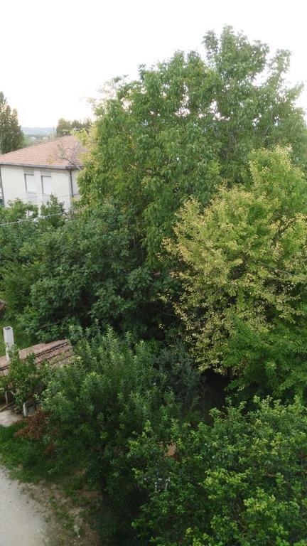 Il Giardino del Gallo Foligno Camera foto