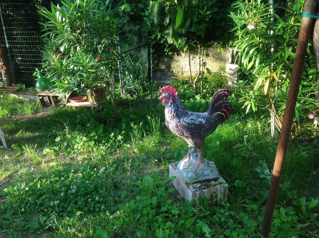 Il Giardino del Gallo Foligno Esterno foto