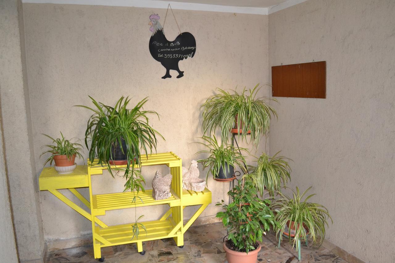 Il Giardino del Gallo Foligno Esterno foto