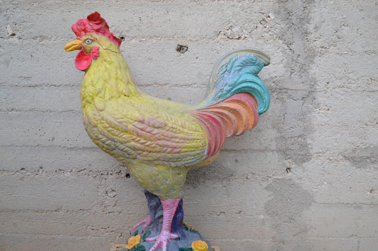 Il Giardino del Gallo Foligno Esterno foto